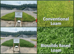 Biosolids based loam outperformed conventional loam during third party growth trials.